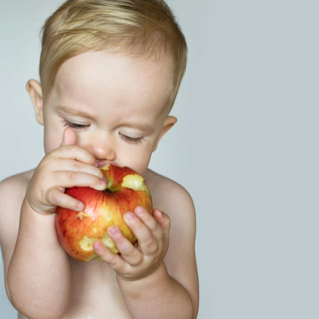 Toddler eating apple