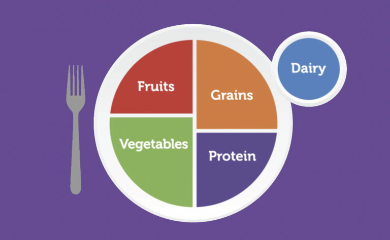 MyPlate nutrition diagram showing balanced portions for healthy child development.